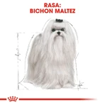 ROYAL CANIN Maltese Adult, pienso seco para perros, 500 g