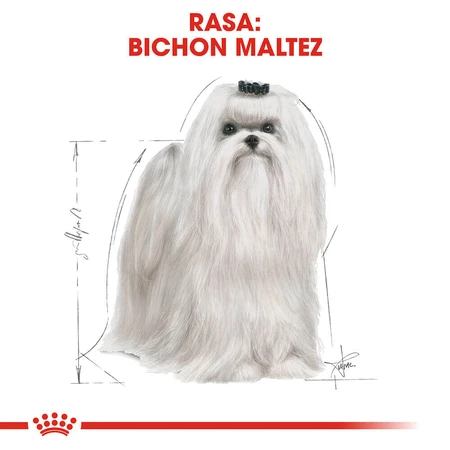 ROYAL CANIN Maltese Adult, pienso seco para perros, 500 g