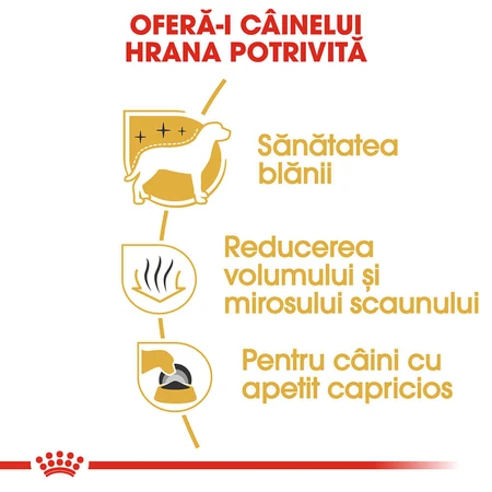 ROYAL CANIN Maltese Adult, pienso seco para perros, 500 g