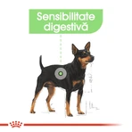 ROYAL CANIN Mini Digestive Care, Trockenfutter für Hunde, für eine gesunde Verdauung, 1 kg