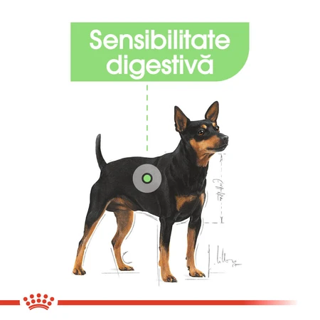 ROYAL CANIN Mini Digestive Care, Trockenfutter für Hunde, für eine gesunde Verdauung, 1 kg