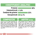ROYAL CANIN Mini Digestive Care, Trockenfutter für Hunde, für eine gesunde Verdauung, 1 kg