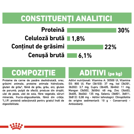 ROYAL CANIN Mini Digestive Care, Trockenfutter für Hunde, für eine gesunde Verdauung, 1 kg