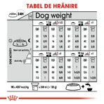 ROYAL CANIN Mini Digestive Care, Trockenfutter für Hunde, für eine gesunde Verdauung, 1 kg