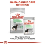 ROYAL CANIN Mini Digestive Care, Trockenfutter für Hunde, für eine gesunde Verdauung, 1 kg