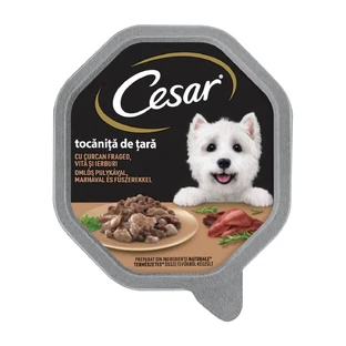 Ragoût CESAR « Country-Style » à la dinde, au bœuf et aux herbes, barquette d'aliments humides pour chien (dans son jus), 150 g