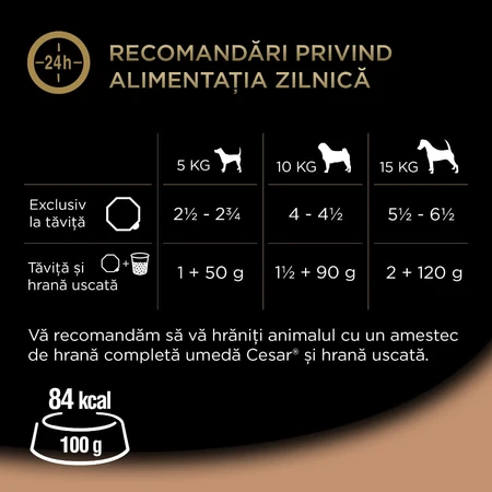 Ragoût CESAR « Country-Style » à la dinde, au bœuf et aux herbes, barquette d'aliments humides pour chien (dans son jus), 150 g