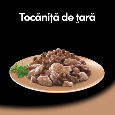 Ragoût CESAR « Country-Style » à la dinde, au bœuf et aux herbes, barquette d'aliments humides pour chien (dans son jus), 150 g
