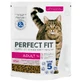 PERFECT FIT Adult Cat 1+, Salmon, Dry Cat Food, 750g