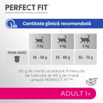 PERFECT FIT Adult Cat 1+, Salmon, Dry Cat Food, 750g