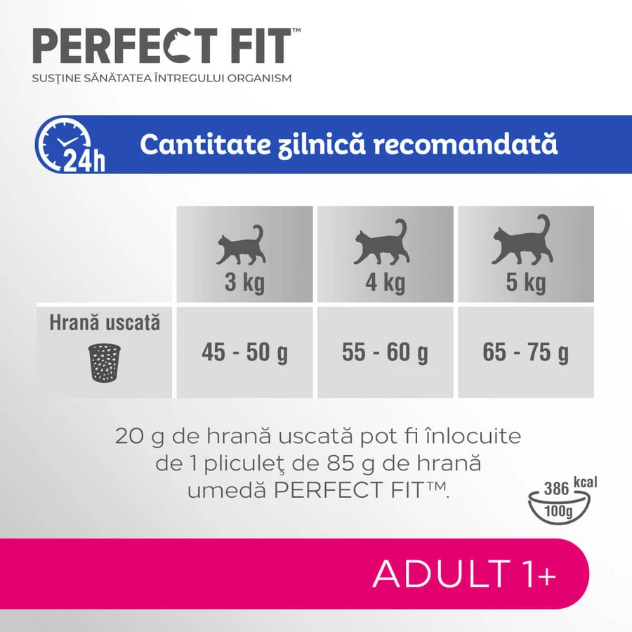PERFECT FIT Adult Cat 1+, Salmon, Dry Cat Food, 750g