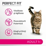 PERFECT FIT Adult Cat 1+, Salmon, Dry Cat Food, 750g