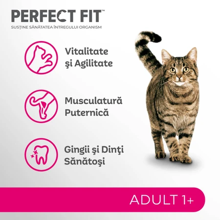 PERFECT FIT Adult Cat 1+, Salmon, Dry Cat Food, 750g