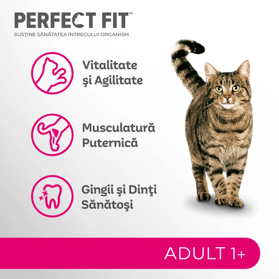 PERFECT FIT Adult Cat 1+, Salmon, Dry Cat Food, 750g
