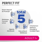 PERFECT FIT Adult Cat 1+, Salmon, Dry Cat Food, 750g