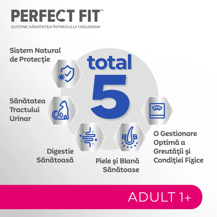PERFECT FIT Adult Cat 1+, Salmon, Dry Cat Food, 750g