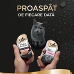 SHEBA Perfect Portions, Zalm, natvoer voor katten in bakjes (paté), multipack, 37,5 g x 6