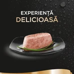 SHEBA Perfect Portions, Zalm, natvoer voor katten in bakjes (paté), multipack, 37,5 g x 6