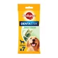 PEDIGREE DentaStix Daily Fresh, golosinas para perros grandes, barritas, té verde, 7 unidades