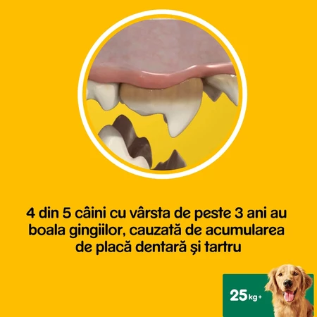 PEDIGREE DentaStix Daily Fresh, treats for large dogs, sticks, green tea, 7 pieces