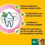 PEDIGREE DentaStix Daily Fresh, treats for large dogs, sticks, green tea, 7 pieces