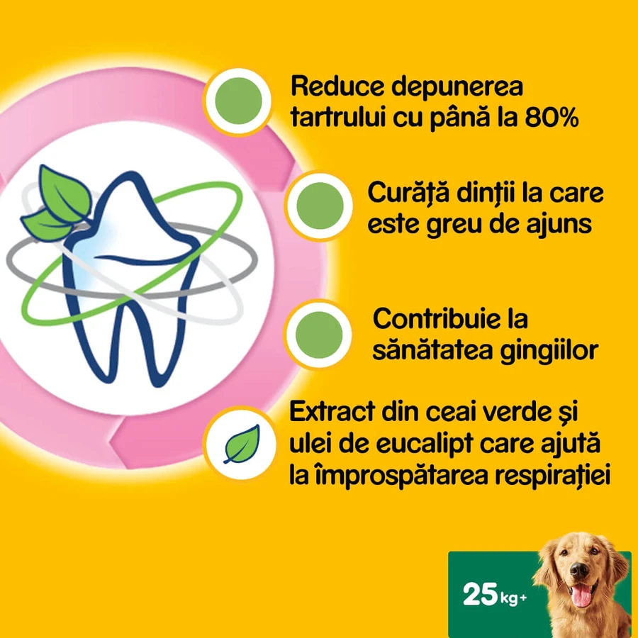 PEDIGREE DentaStix Daily Fresh, treats for large dogs, sticks, green tea, 7 pieces