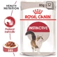 ROYAL CANIN Instinctive Adult, nourriture humide pour chat (en sauce), carton de 12 boîtes de 85 g