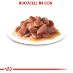 ROYAL CANIN Instinctive Adult, natvoer voor katten (in saus), doos, 85 g x 12 stuks