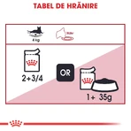 ROYAL CANIN Instinctive Adult, natvoer voor katten (in saus), doos, 85 g x 12 stuks