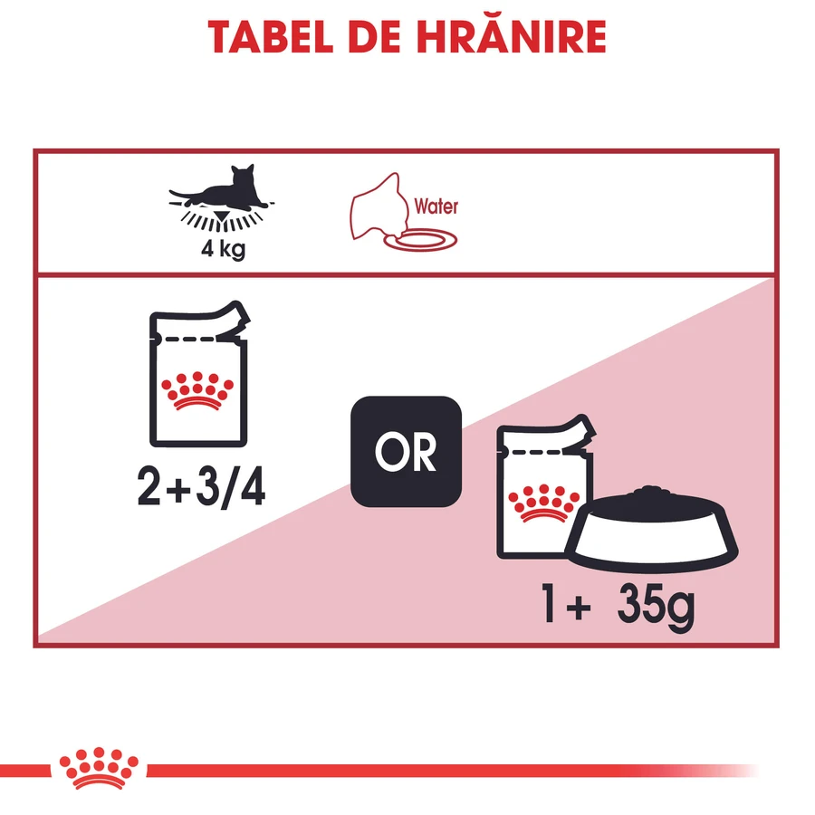 ROYAL CANIN Instinctive Adult, natvoer voor katten (in saus), doos, 85 g x 12 stuks