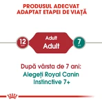 ROYAL CANIN Instinctive Adult, natvoer voor katten (in saus), doos, 85 g x 12 stuks