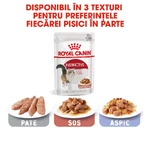 ROYAL CANIN Instinctive Adult, natvoer voor katten (in saus), doos, 85 g x 12 stuks