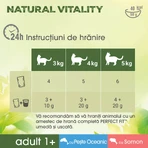 PERFECT FIT Natural Vitality, salmón y pescado, comida húmeda para gatos sin cereales en bolsitas (en salsa), paquete múltiple, 50 g x 6