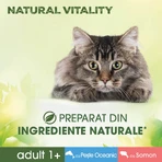 PERFECT FIT Natural Vitality, salmón y pescado, comida húmeda para gatos sin cereales en bolsitas (en salsa), paquete múltiple, 50 g x 6