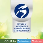 PERFECT FIT Natural Vitality, salmón y pescado, comida húmeda para gatos sin cereales en bolsitas (en salsa), paquete múltiple, 50 g x 6