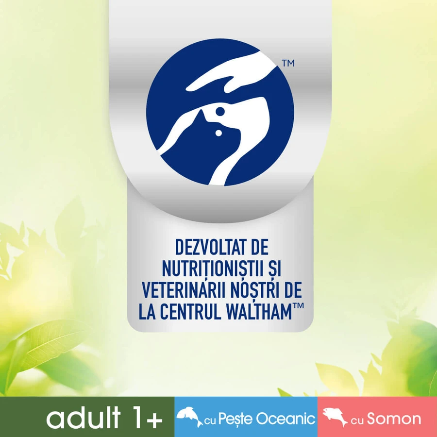 PERFECT FIT Natural Vitality, salmón y pescado, comida húmeda para gatos sin cereales en bolsitas (en salsa), paquete múltiple, 50 g x 6