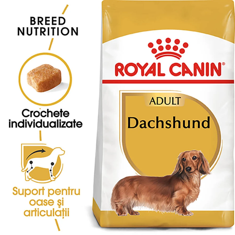 ROYAL CANIN Dachshund Adult, croquettes pour chien adulte, 1,5 kg