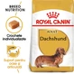 ROYAL CANIN Dachshund Adult, dry dog food, 1.5 kg