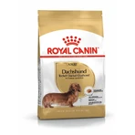 ROYAL CANIN Dachshund Adult, croquettes pour chien adulte, 1,5 kg