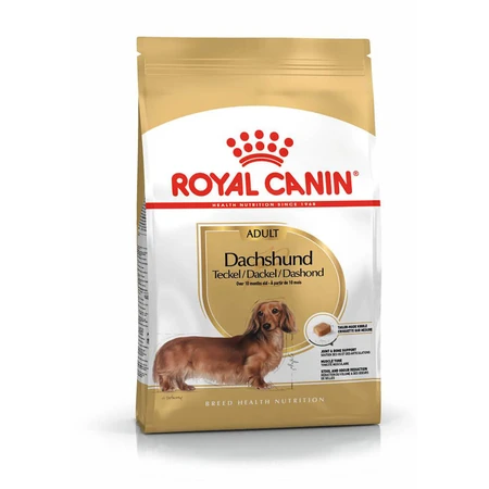 ROYAL CANIN Dachshund Adult, croquettes pour chien adulte, 1,5 kg