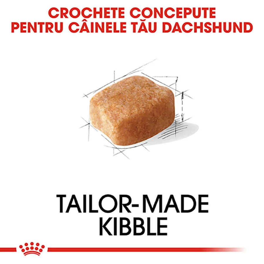 ROYAL CANIN Dachshund Adult, croquettes pour chien adulte, 1,5 kg