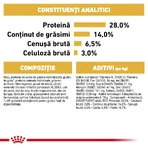 ROYAL CANIN Dachshund Adult, croquettes pour chien adulte, 1,5 kg