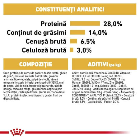 ROYAL CANIN Dachshund Adult, croquettes pour chien adulte, 1,5 kg