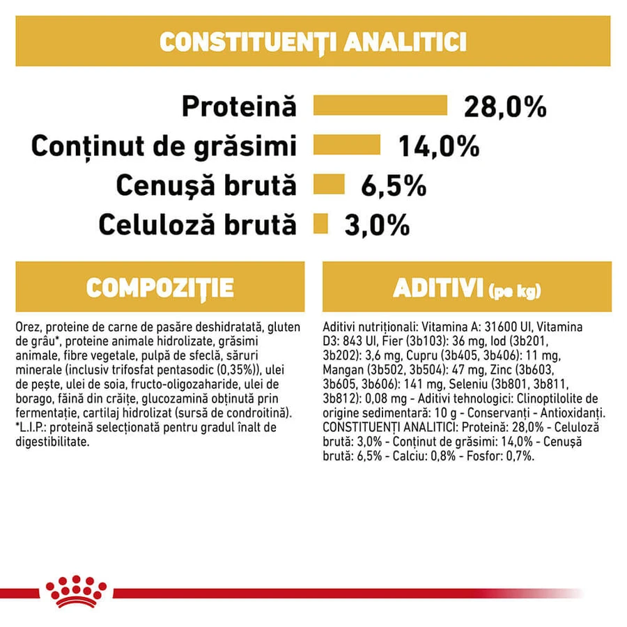 ROYAL CANIN Dachshund Adult, croquettes pour chien adulte, 1,5 kg