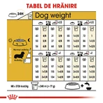 ROYAL CANIN Dachshund Adult, croquettes pour chien adulte, 1,5 kg
