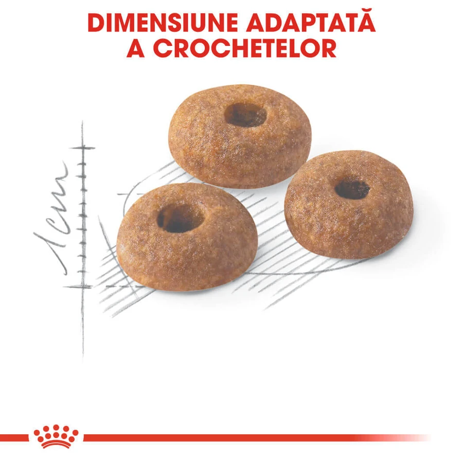 ROYAL CANIN Fit32 Adult, droogvoer voor katten, matige lichaamsbeweging, 2 kg