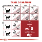 ROYAL CANIN Fit32 Adult, droogvoer voor katten, matige lichaamsbeweging, 2 kg