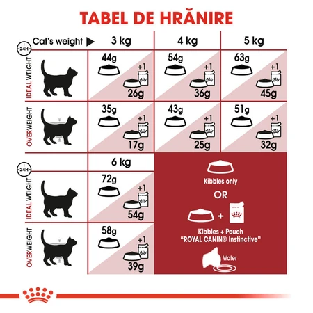 ROYAL CANIN Fit32 Adult, droogvoer voor katten, matige lichaamsbeweging, 2 kg