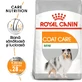 ROYAL CANIN Mini Coat Care Adult, pienso seco para perros, 3 kg