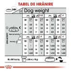 ROYAL CANIN Mini Coat Care Adult, croquettes pour chiens adultes, 3 kg